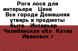 Рога лося для интерьера › Цена ­ 3 300 - Все города Домашняя утварь и предметы быта » Интерьер   . Челябинская обл.,Катав-Ивановск г.